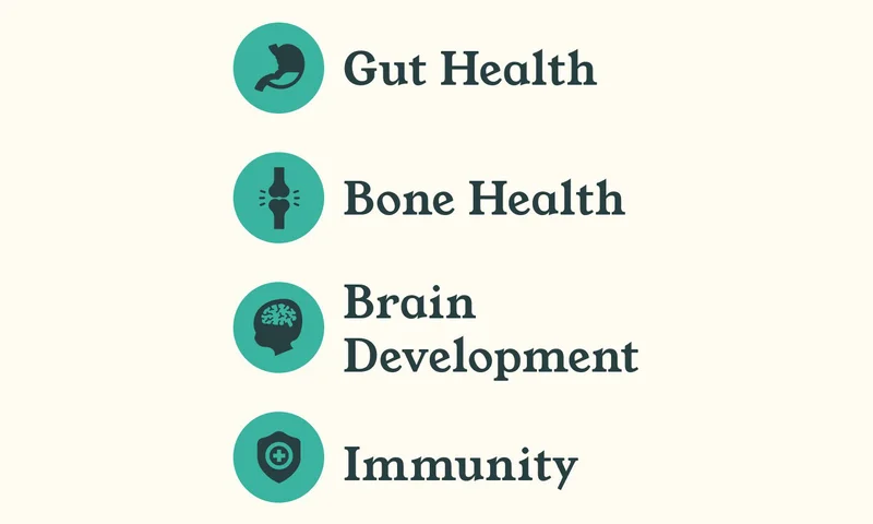 🟢  Gut Health  🟢  Bone Health 🟢  Brain 🟢  Development 🟢  Immunity