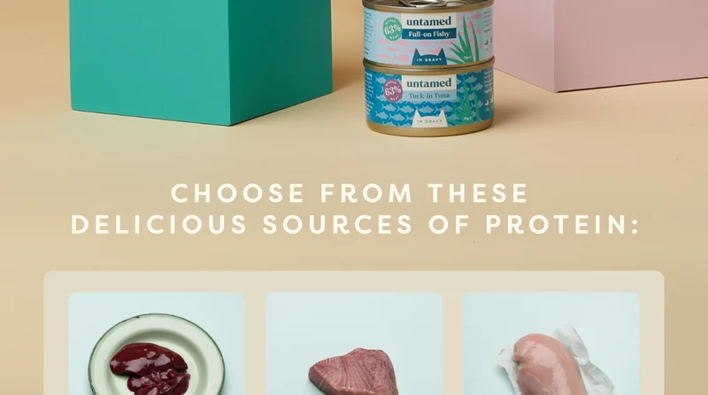 Choose from these delicious sources of protein