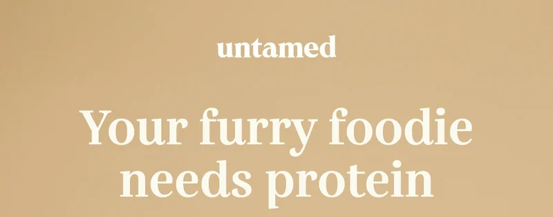 Your furry foodie needs protein
