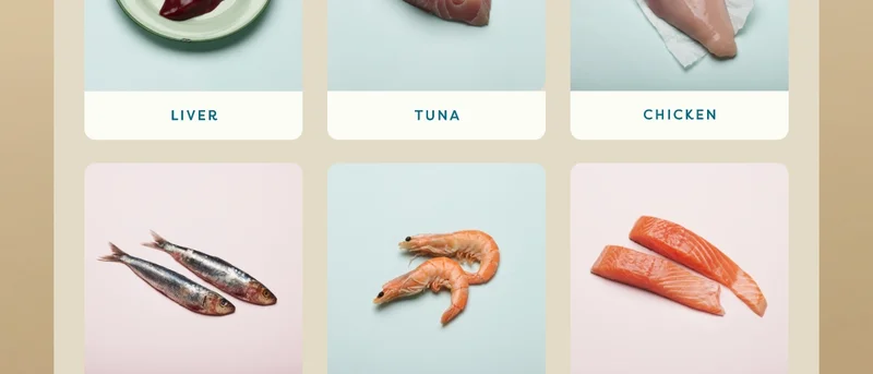Liver, Tuna, Chicken