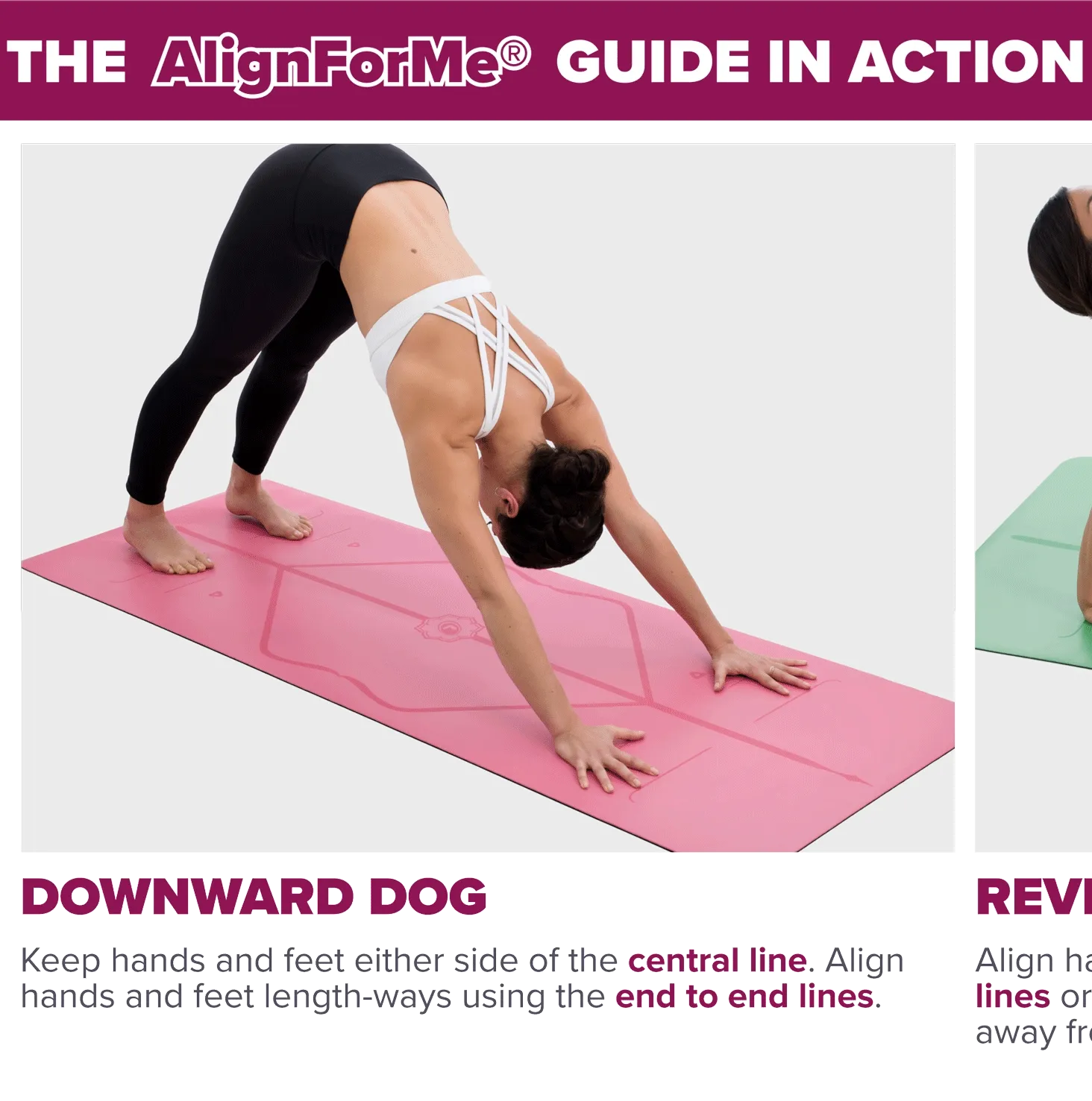 The AlignForMe Guide in action