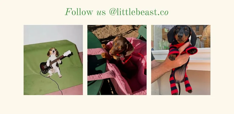 Follow us on Instagram