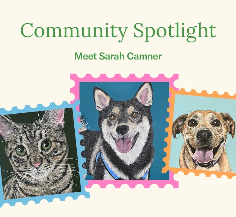 Community Spotlight
