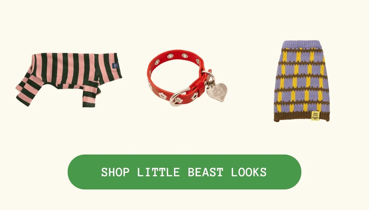Shop Little Beast Looks