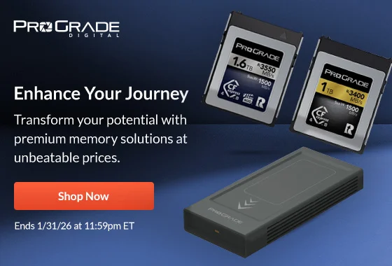 Prograde Enhance Your Journey | Shop Now