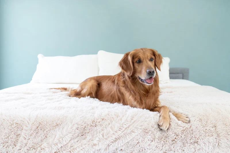 PawProof™ Throw Blanket