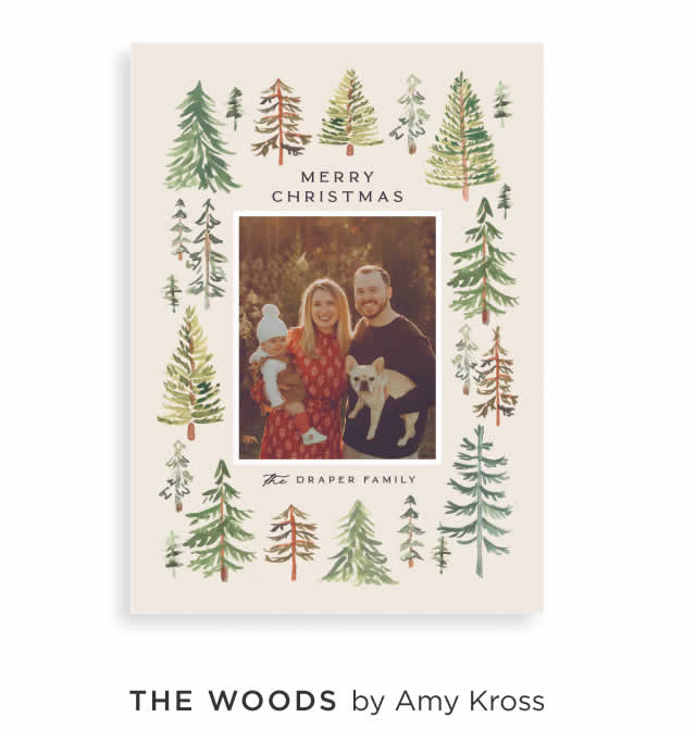 The Woods