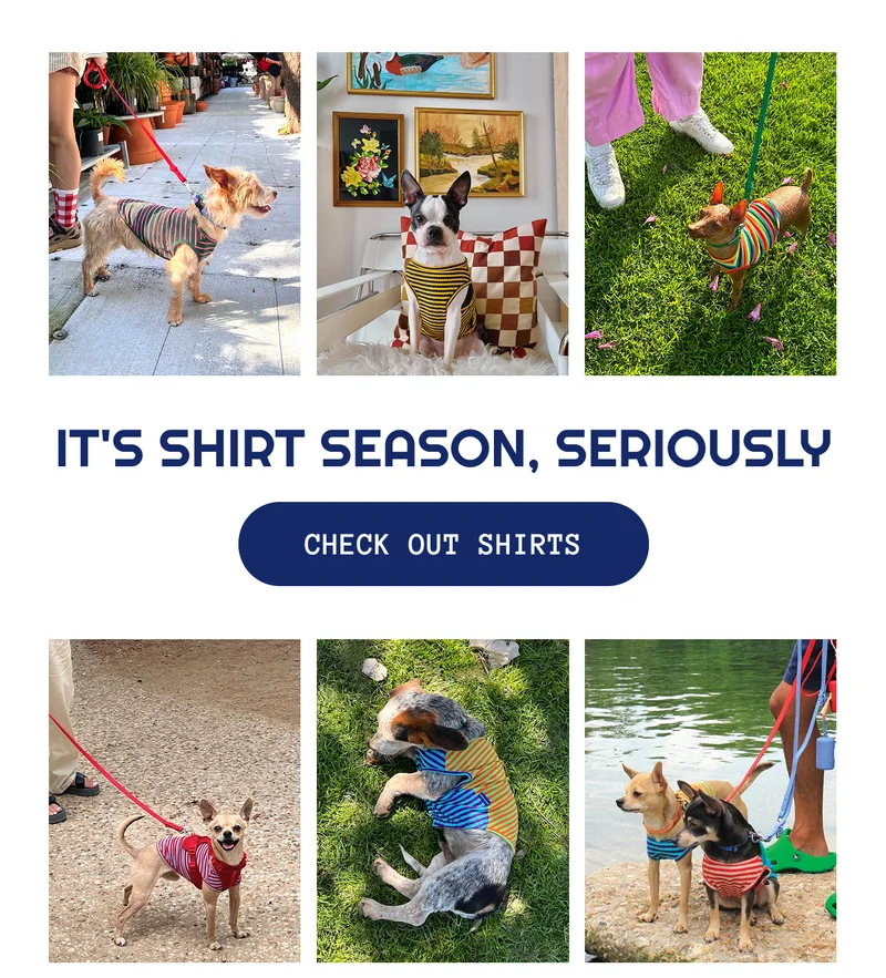 It's shirt season, seriously