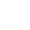 Secure Checkout icon