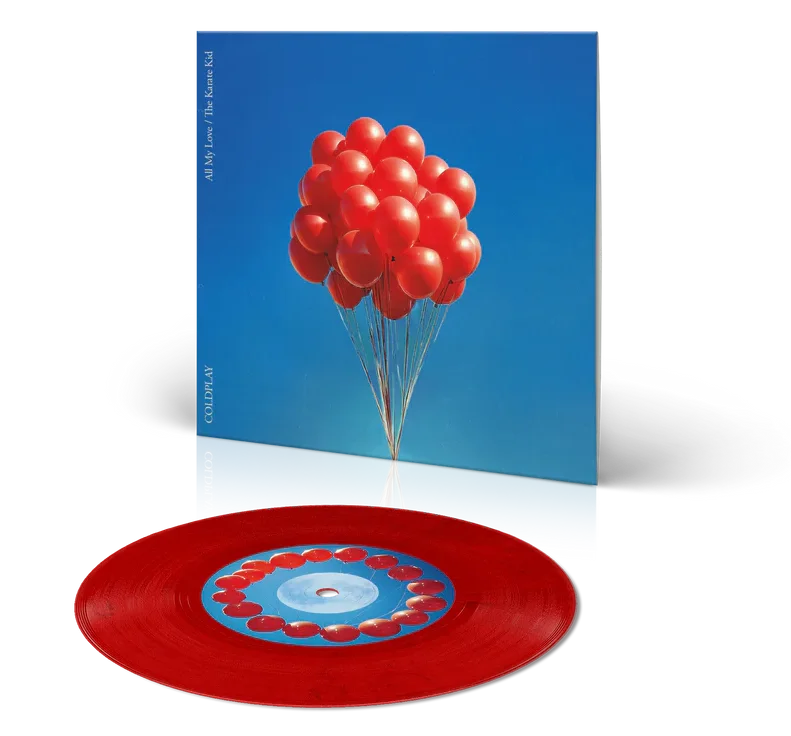 The Karate Kid Vinyl Image