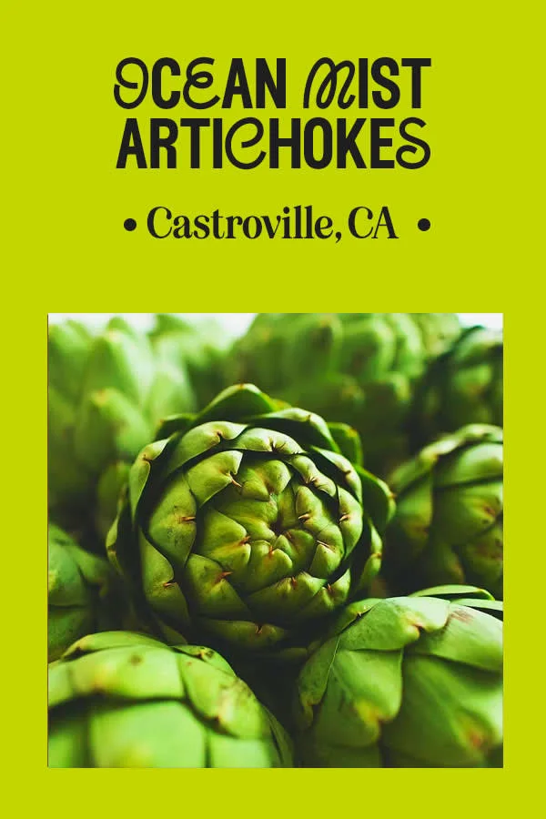 Ocean Mist Artichokes