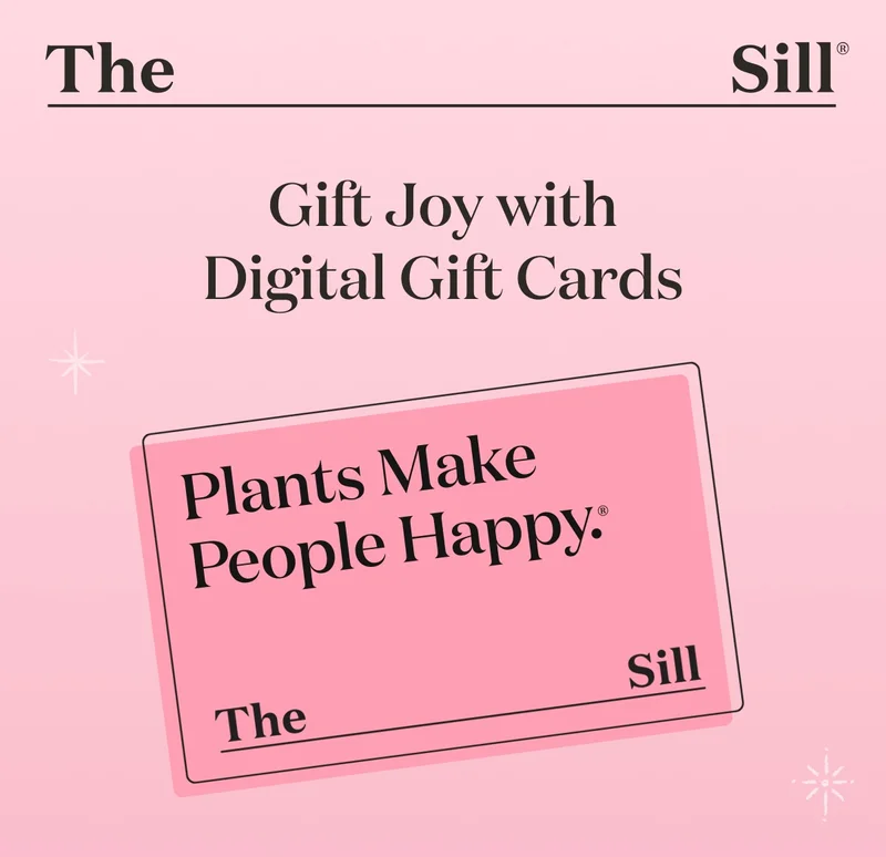 Gift Joy with a Digital Gift Card