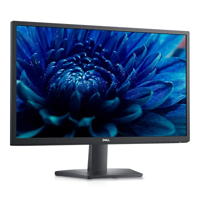 Dell 24 Monitor