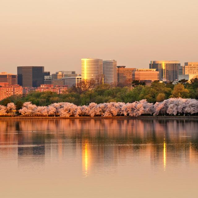 Arlington