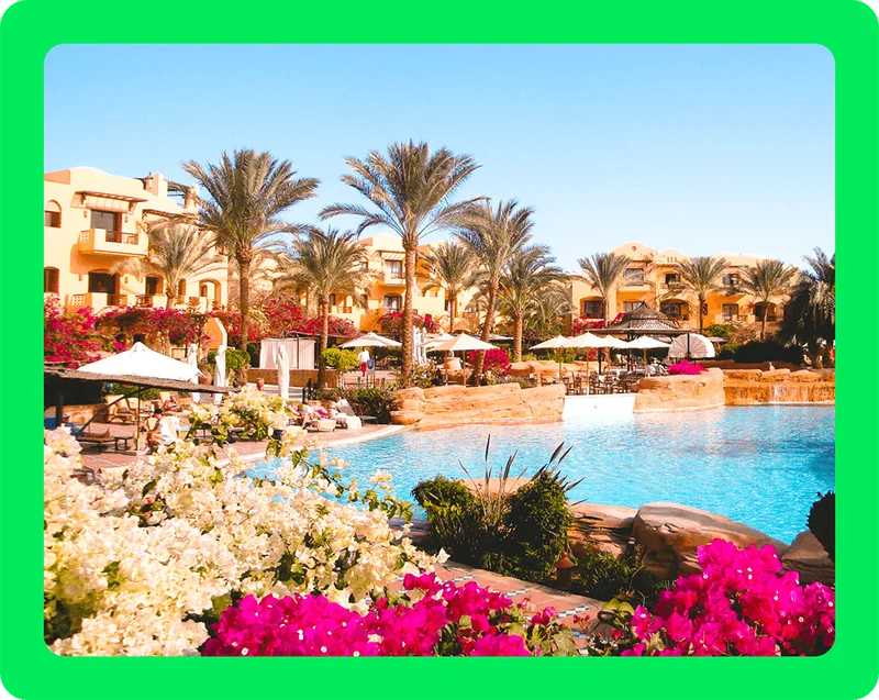 Image description: Luxury hotel resort featuring a large central swimming pool, surrounded by palm trees, white sun umbrellas, and vibrant flowers.