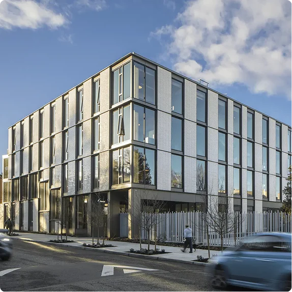Building with trees - Thesis HQ
