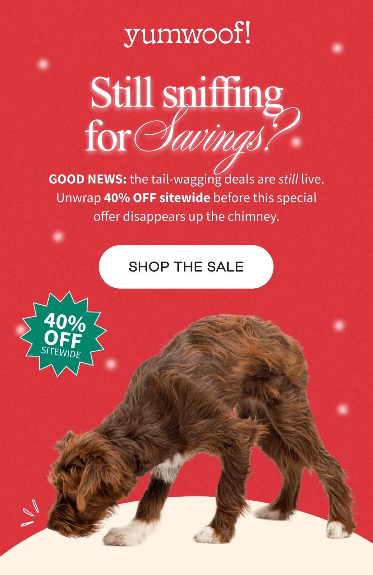 yumwoof! | Still sniffing for Savings? | Good news: the tail-wagging deals are still live. Unwrap 40% OFF sitewide before this special offer disappears up the chimney. | SHOP THE SALE