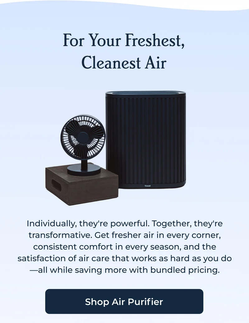 Breathe Easy. All Winter Long | Shop Air Purifiers