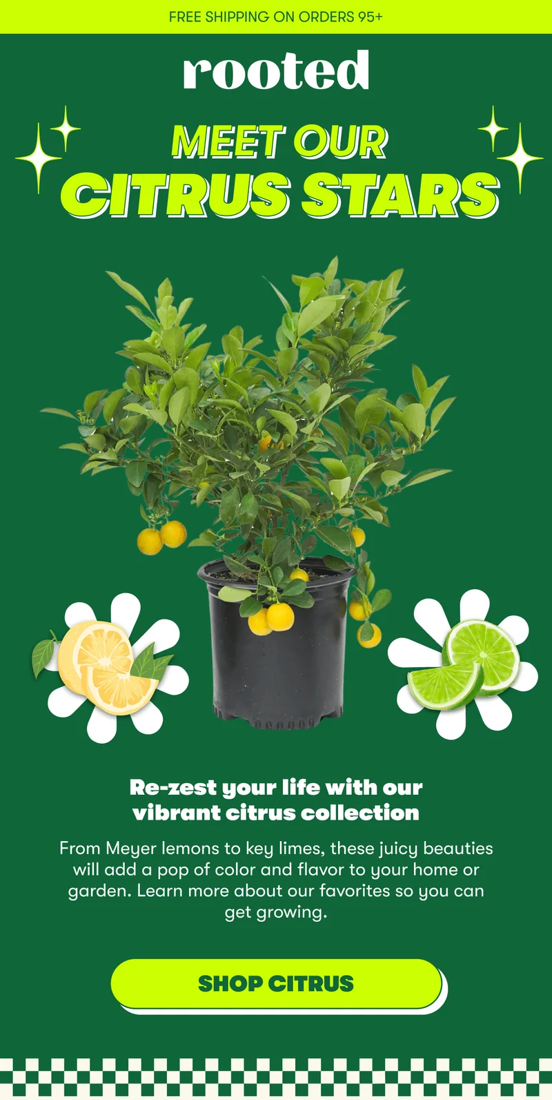 FREE SHIPPING ON ORDERS $95+ MEET OUR CITRUS STARS  Re-zest your life with our vibrant citrus collection  From Meyer lemons to key limes, these juicy beauties will add a pop of color and flavor to your home or garden. Discover our favorites and start growing a juicy citrus garden of your own today.  [SHOP CITRUS]