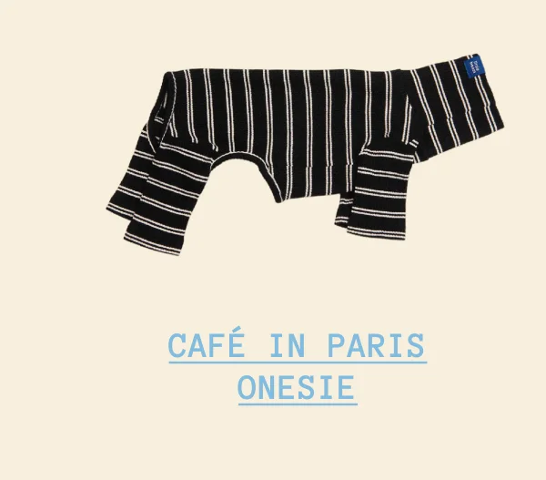 Café in Paris Onesie