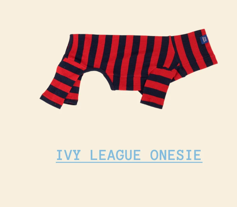 Ivy League Onesie