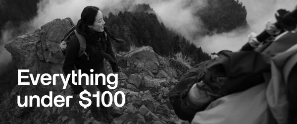 Everything under $100