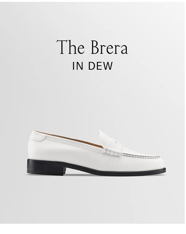 The Brera in Dew