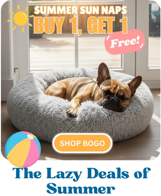 BOGO Beds BOGO Beds