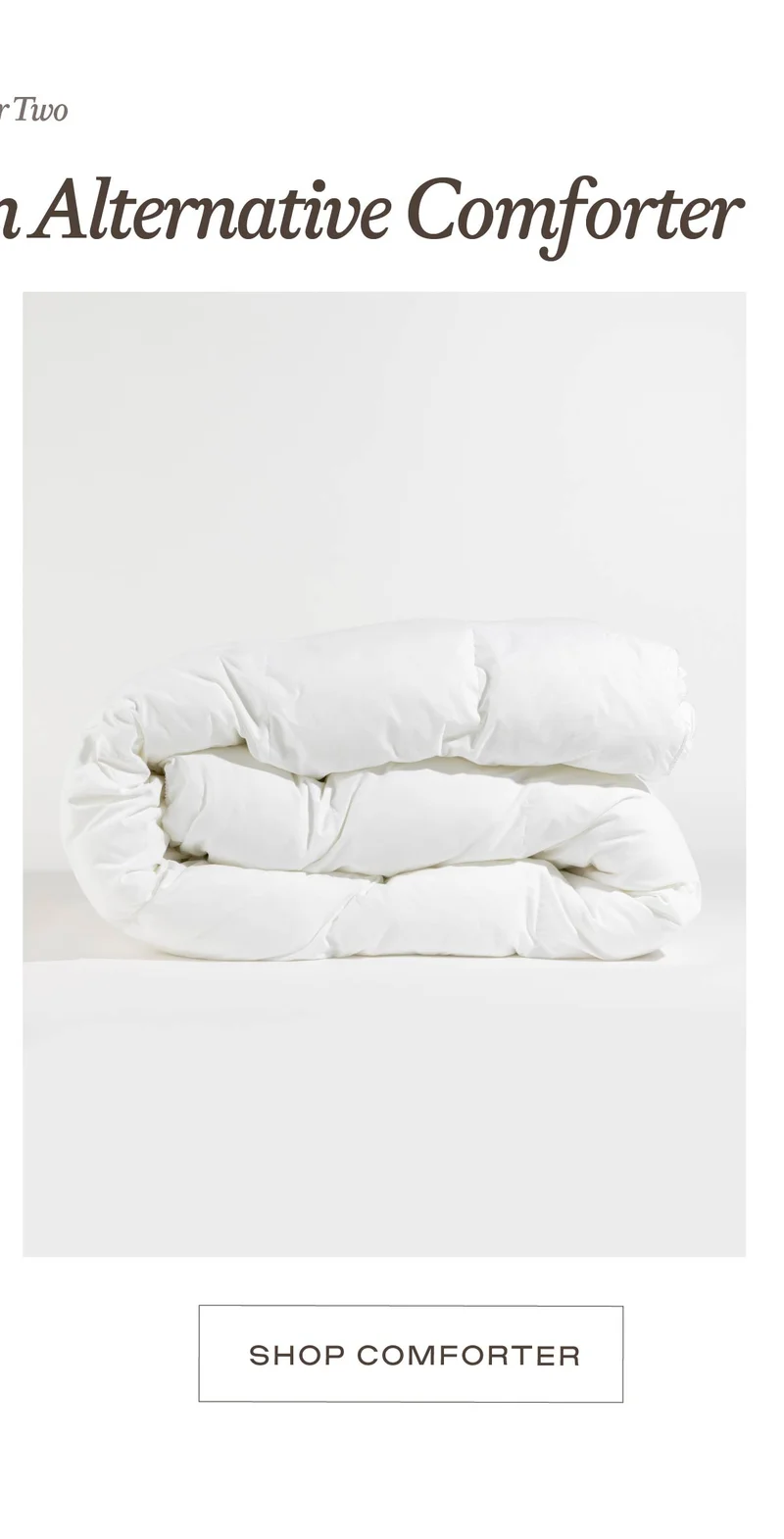 Shop Comforter Shop Comforter