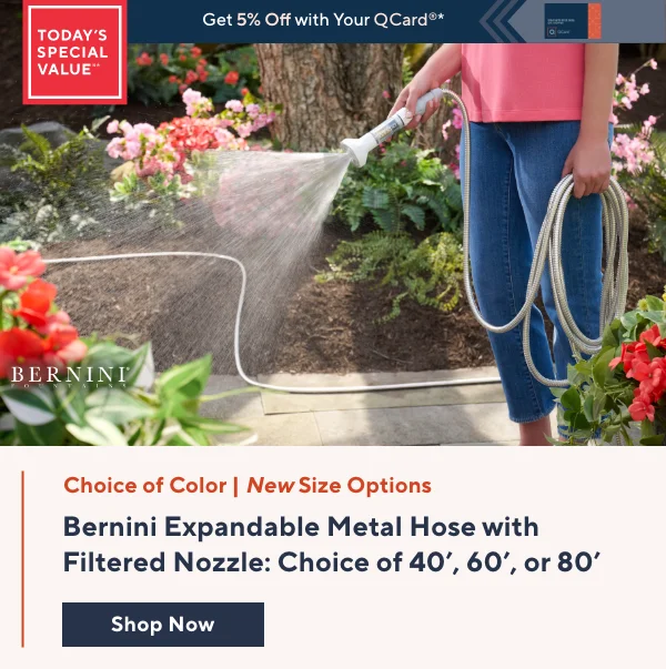Bernini TSV
