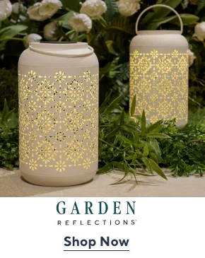 Garden Reflections