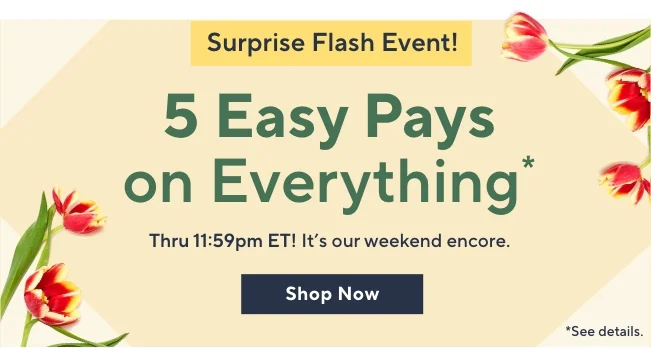 5 Easy Pays