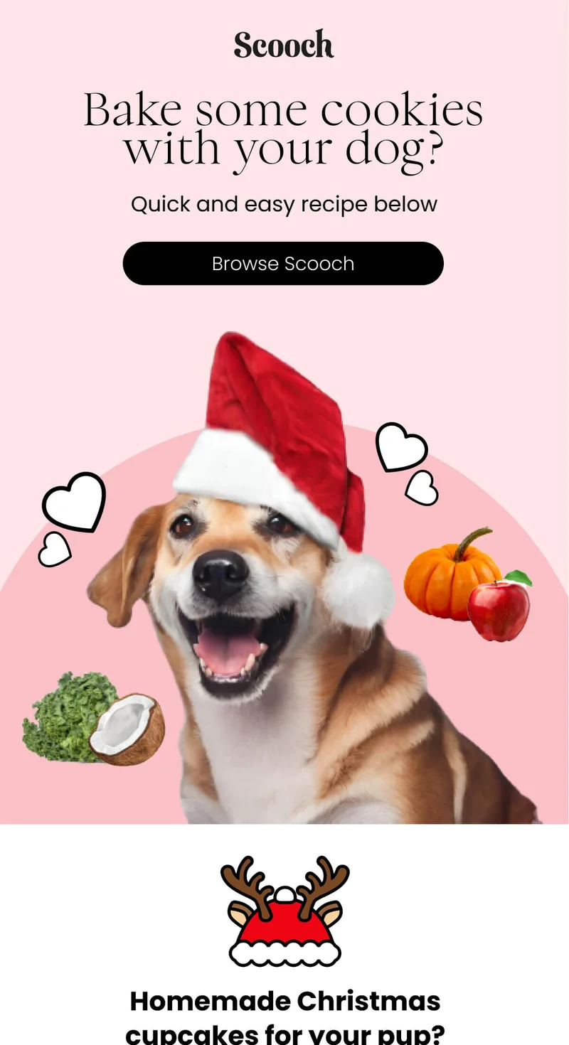 Quick and easy recipe below - Browse Scooch