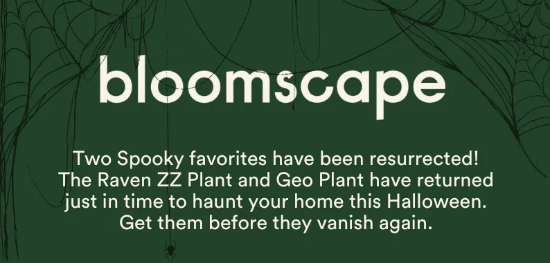 Two spooky favorites are back!