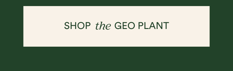 shop the geo plant