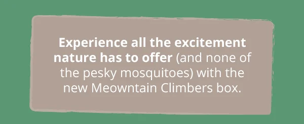 Experience all the excitement nature has to offer (and none of the pesky mosquitoes) with the new Meowntain Climbers box.