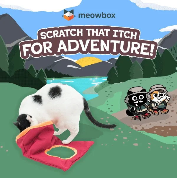 Scratch that itch for adventure! Image of a white black spotted cat slowly getting into the Cat's In The (Sleeping) Bag toy from the Meowntain Climbers meowbox. In the background, a hiking mountain scene with 2 illustrated hiking cats