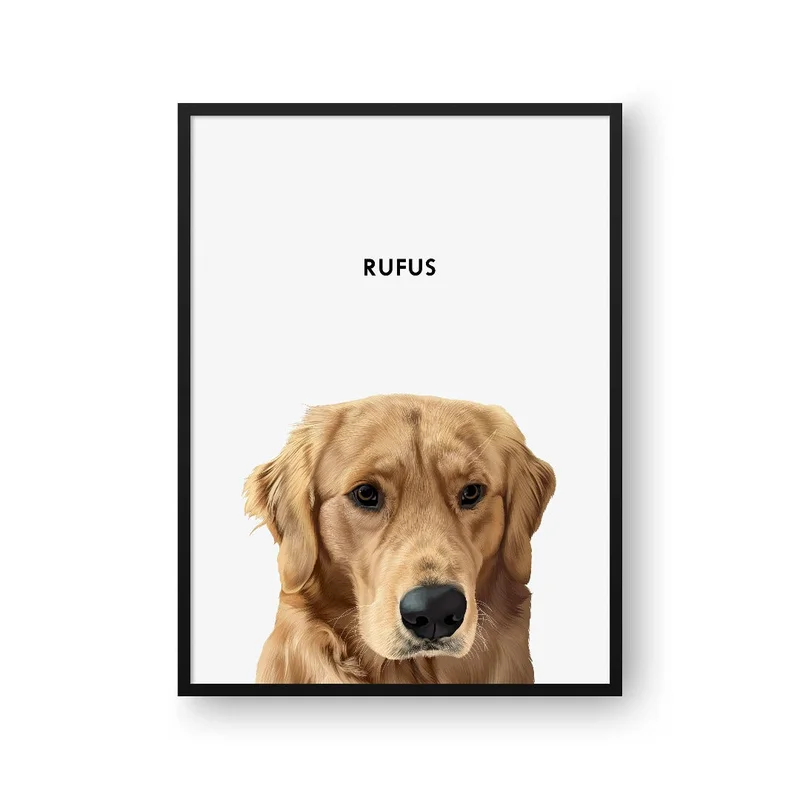 Image of Modern Pet Portrait - One Pet
