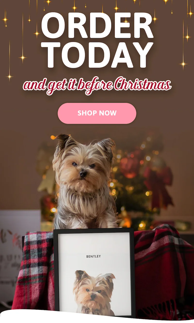 Order today and get it before Christmas