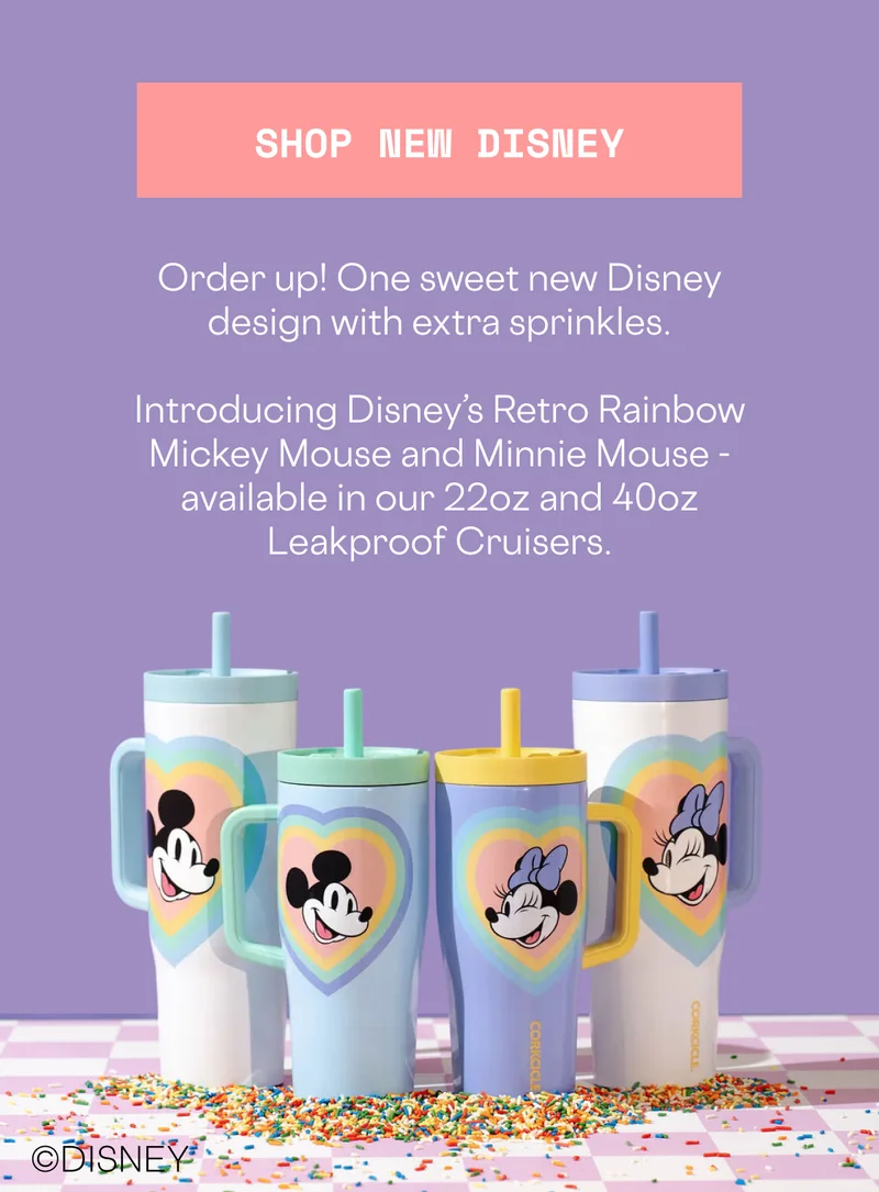 Shop NEW Retro Rainbow Mickey and Minnie Mouse Cruisers