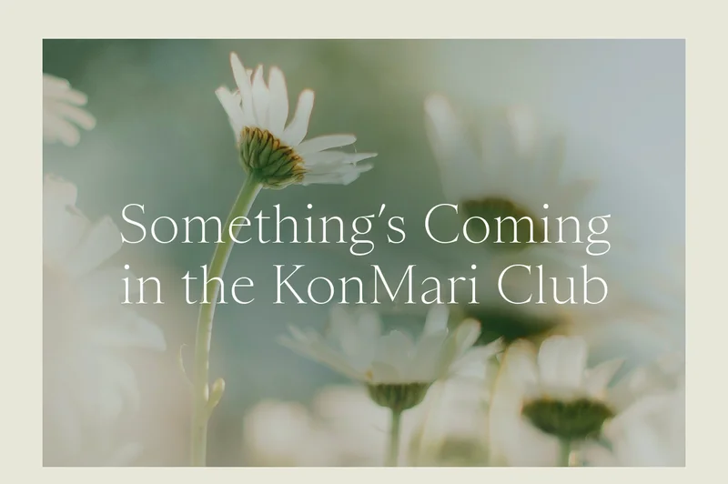 Something’s Coming in the KonMari Club