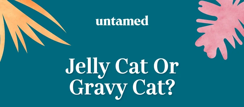 Jelly Cat or Gravy Cat?