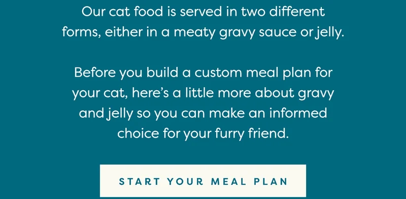 Start your meal plan