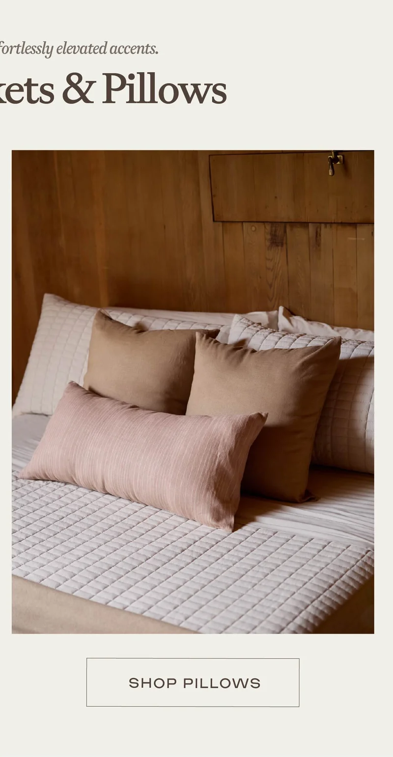 Shop Pillows