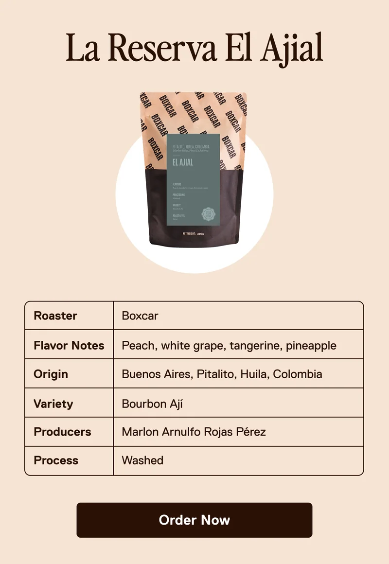 Limited Release: El Ajial