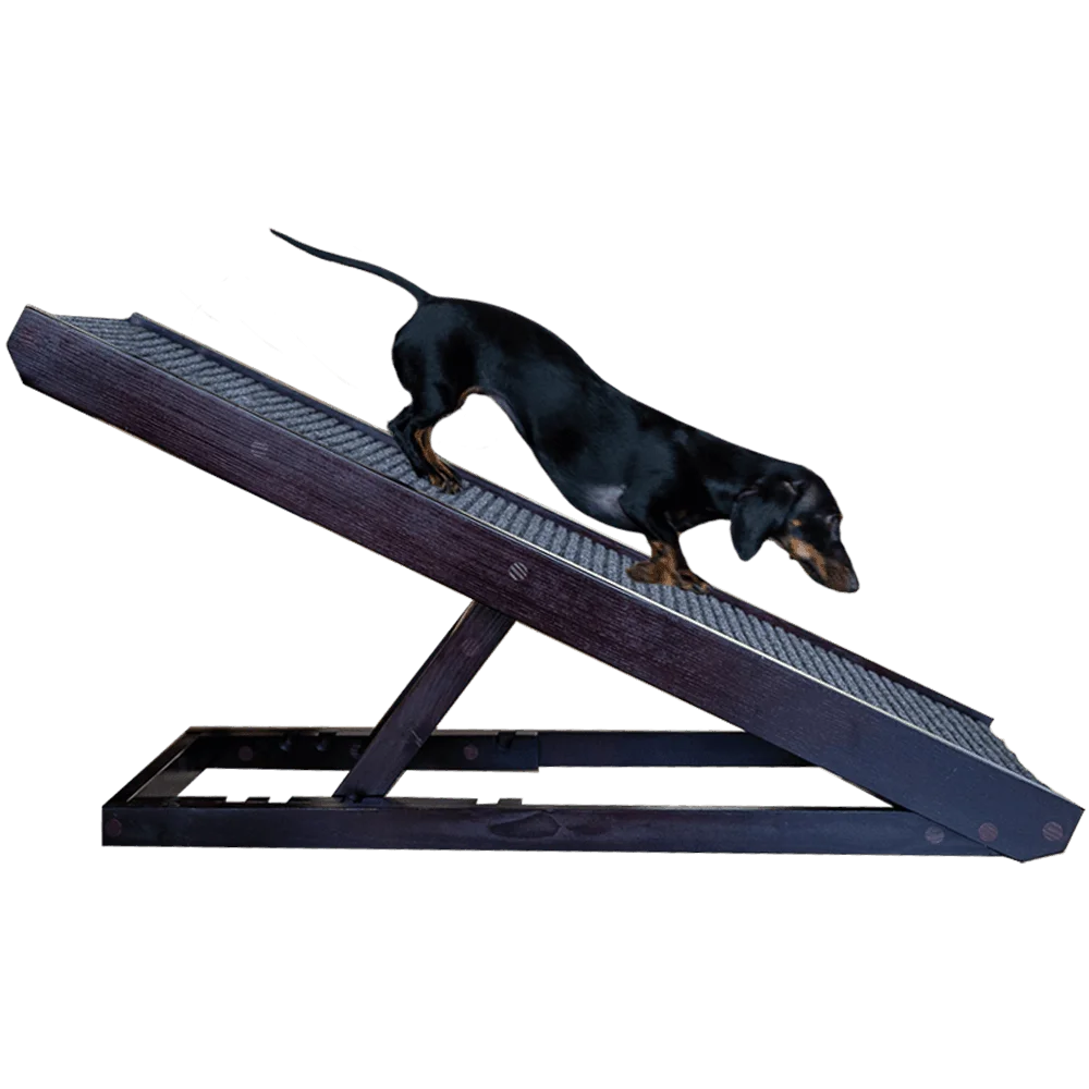 Image of DachRamp™
