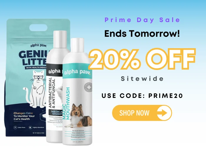 20% OFF SITEWIDE