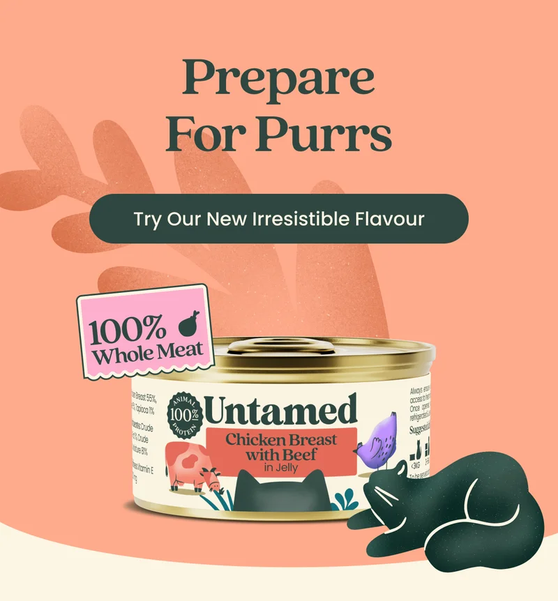 Prepare For Purrs