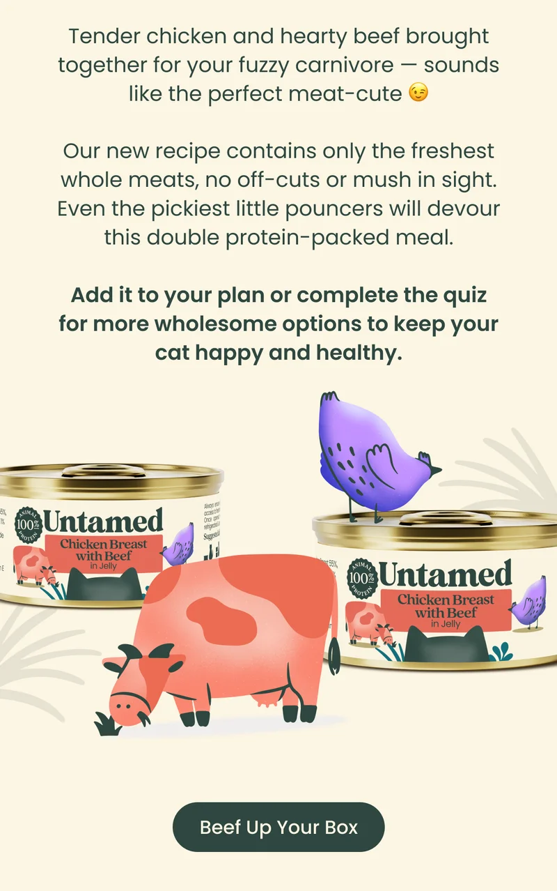 Beef Up Your Box