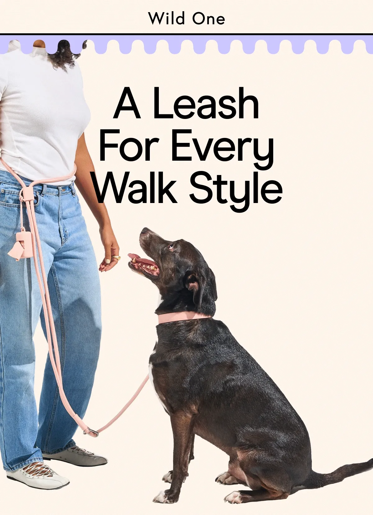A Leash For Every Walk Style